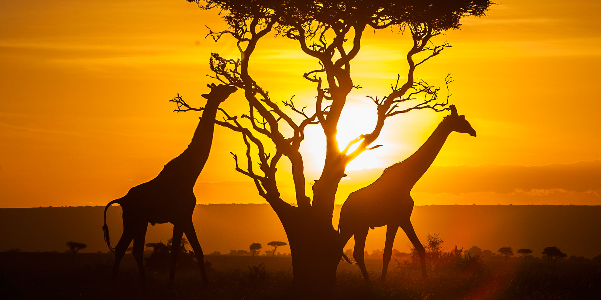 Afrique du Sud